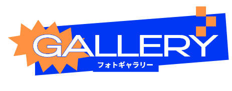 GALLERY フォトギャラリー